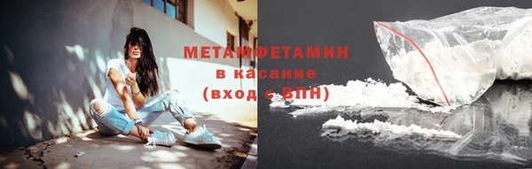 индика Тайга
