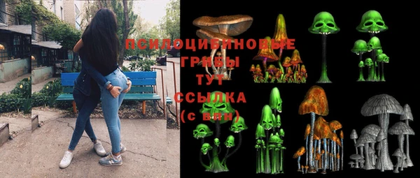 трава Армянск
