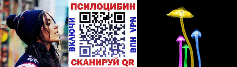 Галлюциногенные грибы MAGIC MUSHROOMS  продажа наркотиков  Майкоп 